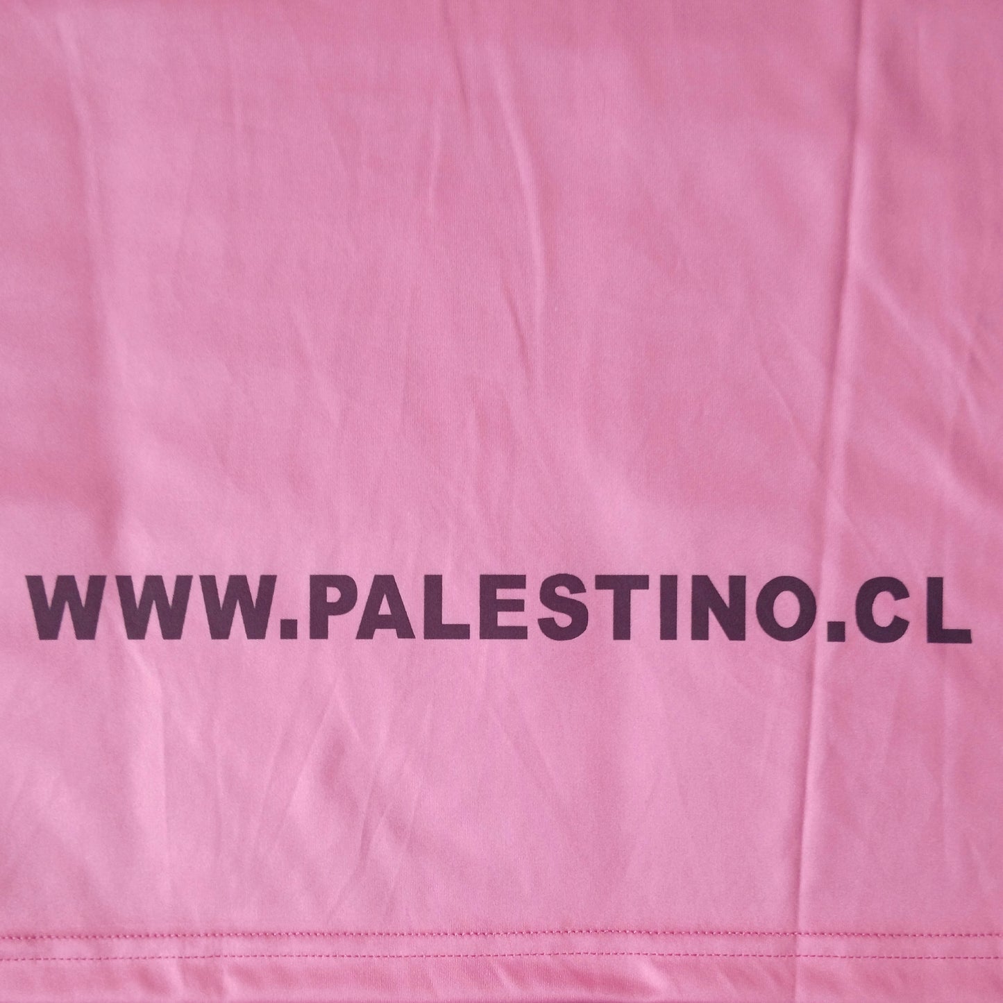 ENVÍO RAPIDO / CAMISETA PALESTINO 2022/23 EDICIÓN ESPECIAL VISITA HOMBRE (VERSIÓN FAN)
