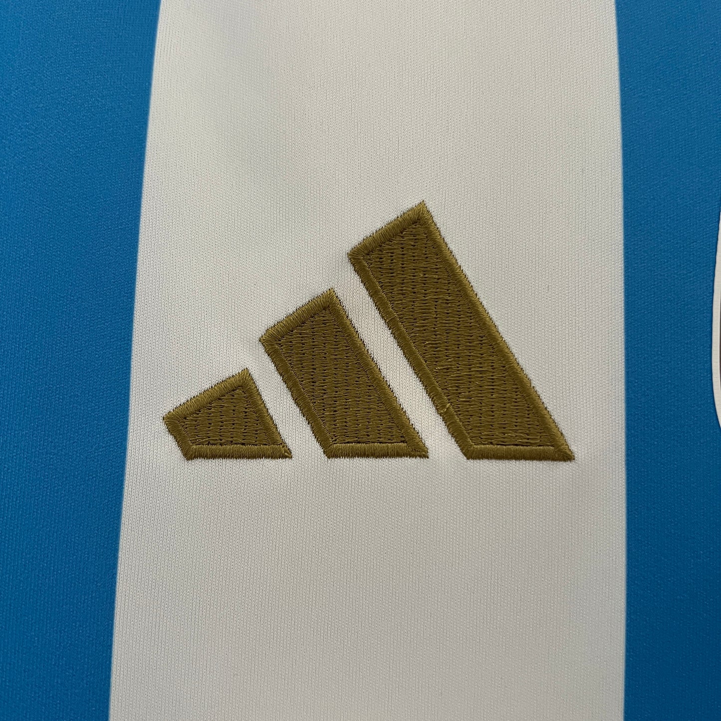 CAMISETA ARGENTINA 2024 LOCAL HOMBRE (VERSIÓN FAN)