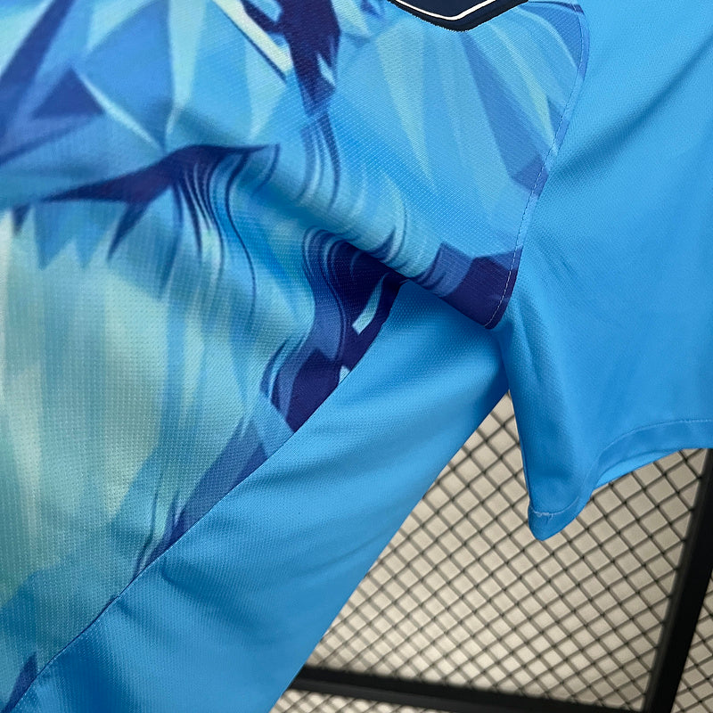 CAMISETA PAISES BAJOS EDICIÓN ESPECIAL HOMBRE (VERSIÓN FAN)