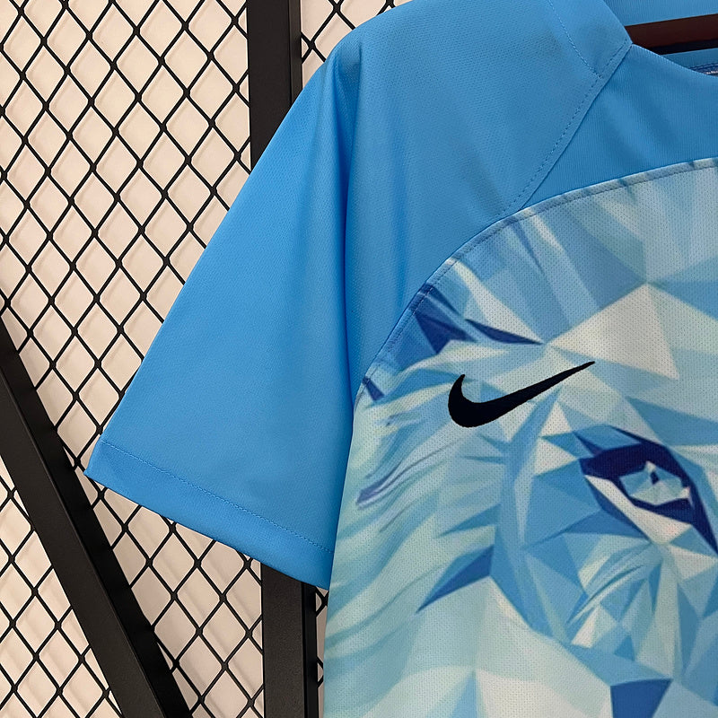 CAMISETA PAISES BAJOS EDICIÓN ESPECIAL HOMBRE (VERSIÓN FAN)