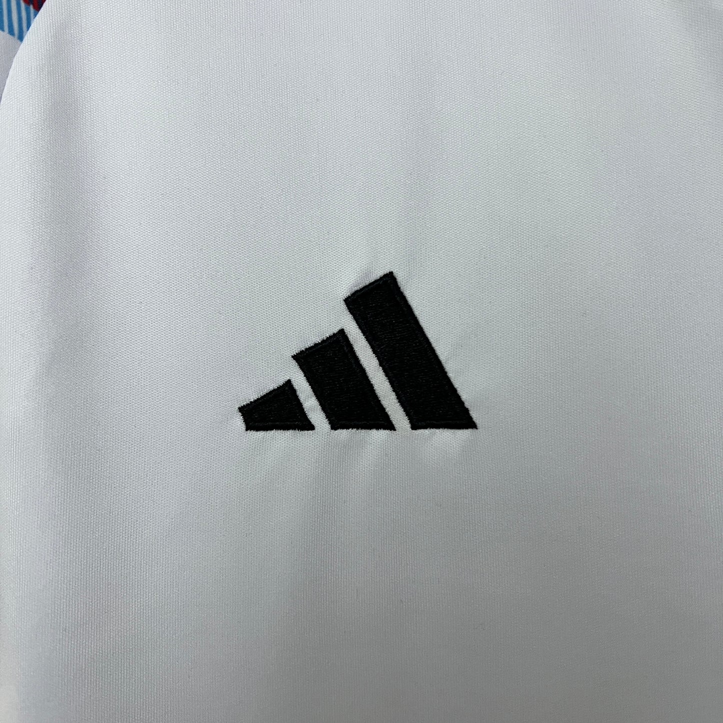 CAMISETA JAPON EDICIÓN ESPECIAL HOMBRE (VERSIÓN FAN)
