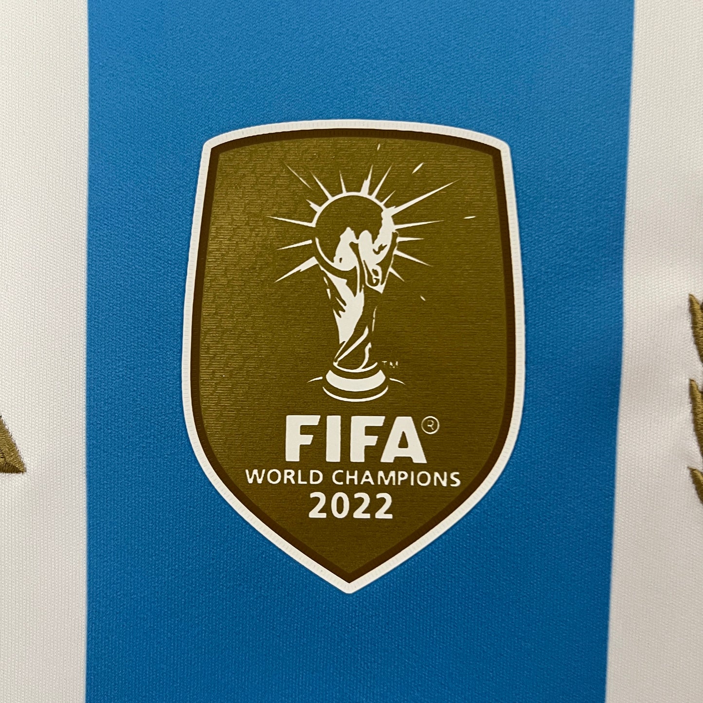 CAMISETA ARGENTINA 2024 LOCAL HOMBRE (VERSIÓN FAN)