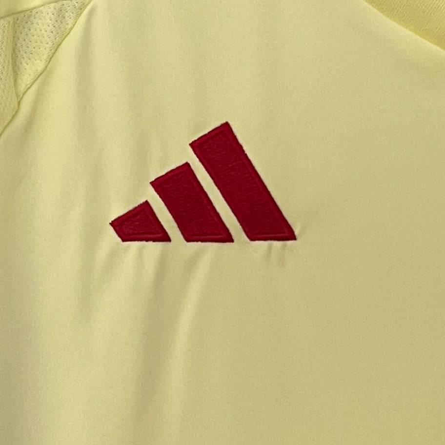 CAMISETA ESPAÑA 2024 VISITA HOMBRE (VERSIÓN FAN)